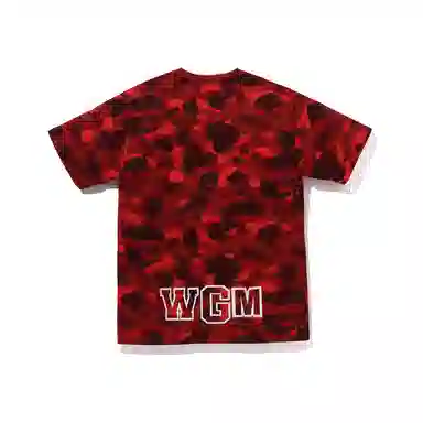 A BATHING APE FW23 T