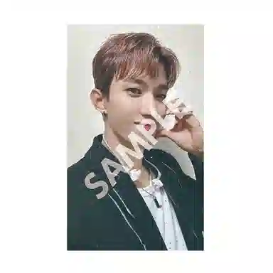 HYBE SEVENTEEN LOVE