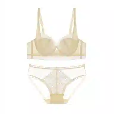 内在密码 大胸显小显瘦收副乳防下垂法式纯欲性感蕾丝超薄聚拢文胸两件装