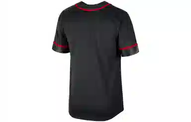 Nike Dri-Fit Chicago Bulls V-Neck Tee