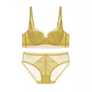 内在密码 大胸显小显瘦收副乳防下垂法式纯欲性感蕾丝超薄聚拢文胸两件装