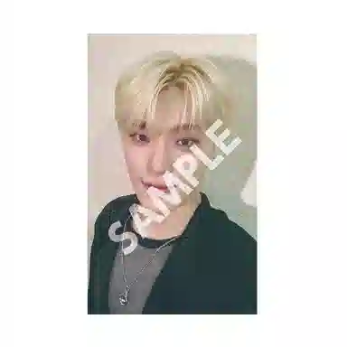 HYBE SEVENTEEN LOVE