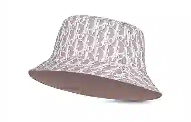DIOR Oblique
