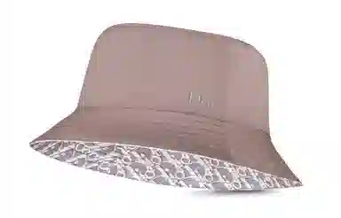 DIOR Oblique