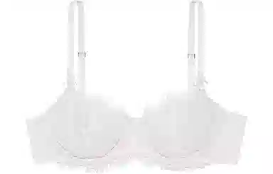 Victoria's Secret Dream angels