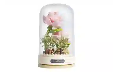 JAKI DIY 2676
