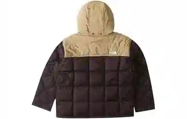 The North Face Urban Exploration 700 Fill Down Jacket Brown