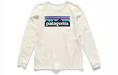 patagonia P-6 Logo Responsibili-Tee T