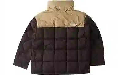 The North Face Urban Exploration 700 Fill Down Jacket Brown