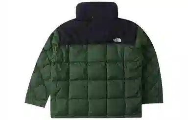 The North Face Urban Exploration 700 Down Jacket