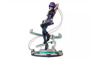 FNEX 17 SAC_2045 24.5cm