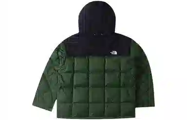 The North Face Urban Exploration 700 Down Jacket