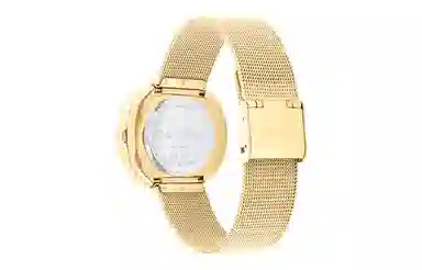 CKCalvin Klein 34mm 30 25200150-ck