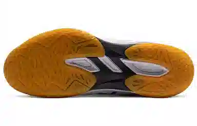 Asics Court Control FF 3