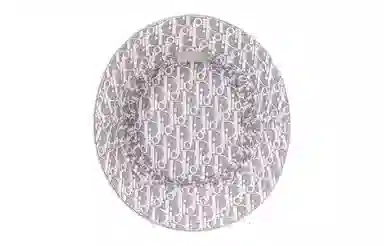 DIOR Oblique