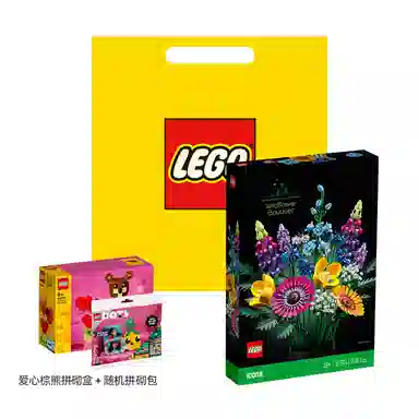 LEGO Icons 10313