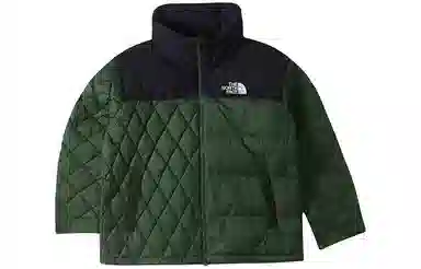 The North Face Urban Exploration 700 Down Jacket