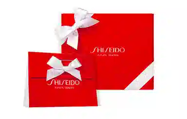 资生堂 发光气垫套装 修饰肤色