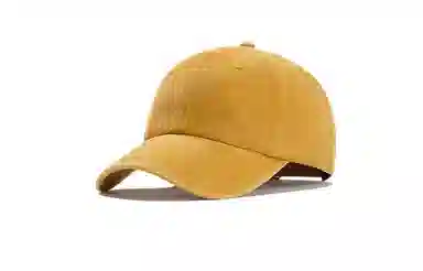 FireMonkey