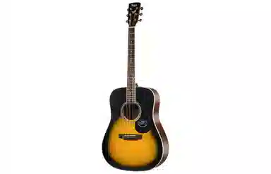 (Saga) SF700 4041 DGAOM