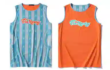 FireMonkey Basketball Reversible Jersey