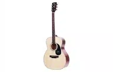 (Saga) SF700 4041 DGAOM