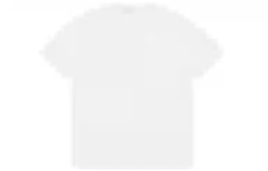 Champion T