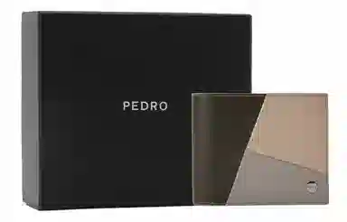 PEDRO 2