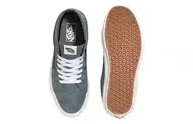 Vans SK8