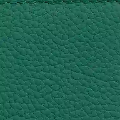 LOUIS VUITTON Organizer de Poche