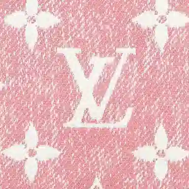 LOUIS VUITTON Pachette Accesories