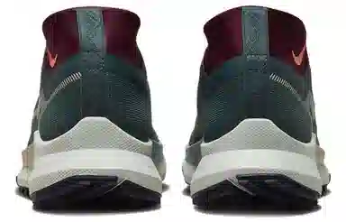 Nike Pegasus Trail 4 GORE-TEX