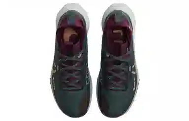 Nike Pegasus Trail 4 GORE-TEX