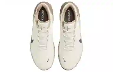 Nike Air Zoom TR 1 Light Orewood Brown