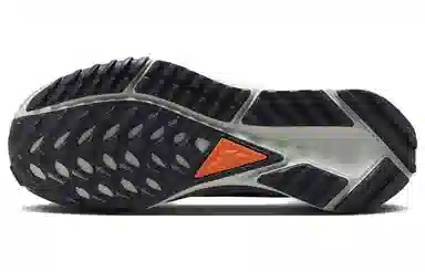 Nike Pegasus Trail 4 GORE-TEX