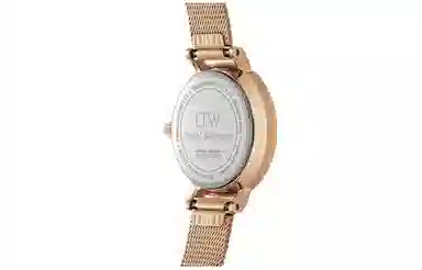 Daniel WellingtonPETITE 24mm 30 DW00100447-dw