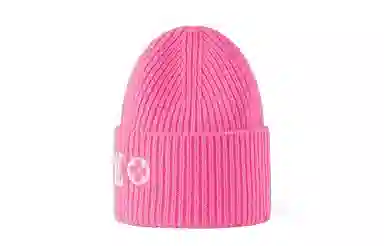 Louis Vuitton Embroidered LV Floral Beanie Pink