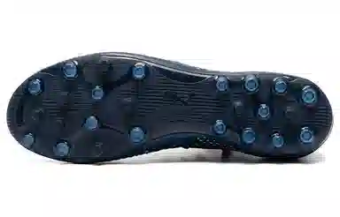 PUMA MG