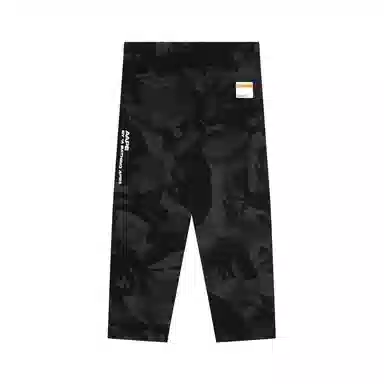 Aape
