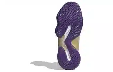 adidas Pro Bounce 2018 White Purple