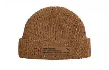 PUMA Beanie Brown