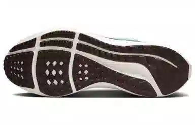 Nike Air Zoom Pegasus 40 PRM