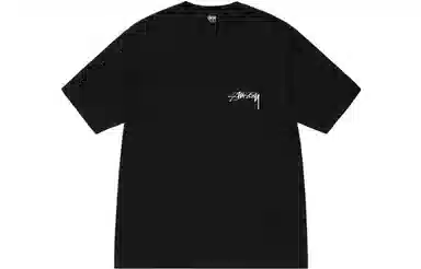 Stussy Arachnid Tee Pigment Dyed T