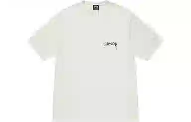 Stussy Arachnid Tee Pigment Dyed T