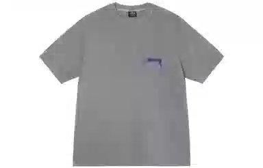 Stussy Arachnid Tee Pigment Dyed T