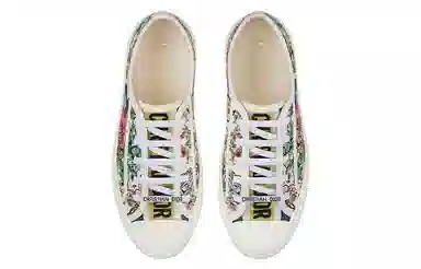 DIOR Walk'n'Dior D-Constellation