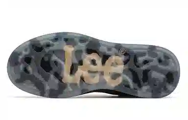 Lee