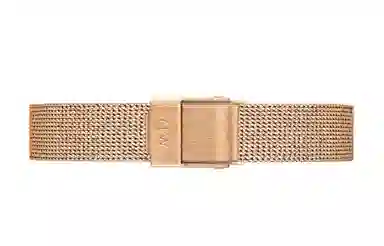 Daniel Wellington 24mm 30 DW00100447-gj