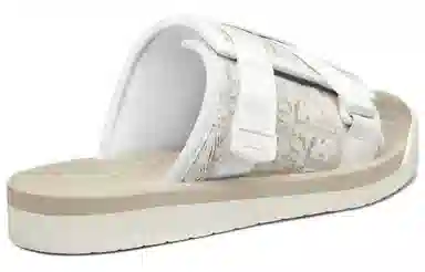 DIOR Alpha