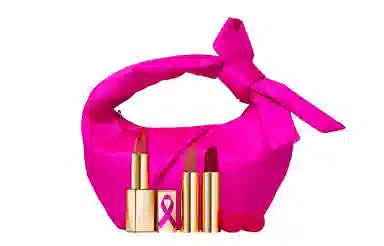 雅诗兰黛 粉红丝带纯色口红系列套装 提升气色